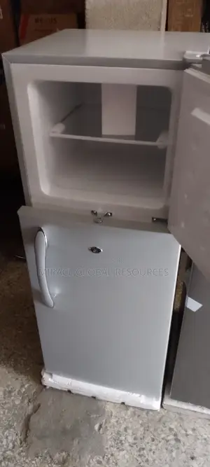 Skyrun Refrigerator Low Voltage 118l