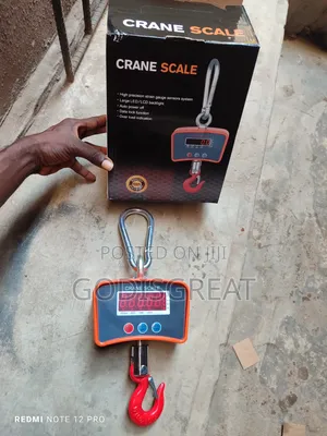 Crane Scale 500kg