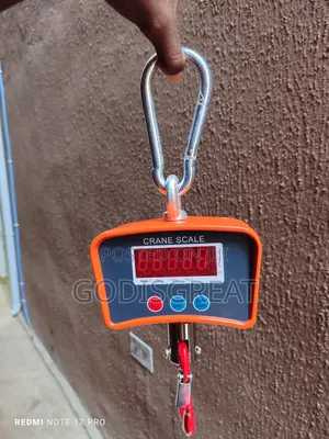 Crane Scale 500kg