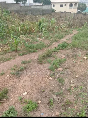 Land for Sale: Two Plots of Land