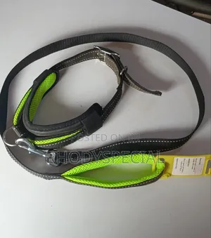 Pet Leash for Dogs and Cats