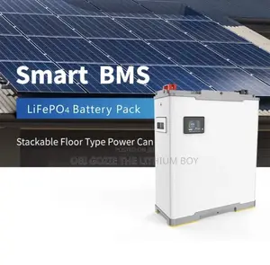 Blue Carbon Solar Inverter Lithium Batteries
