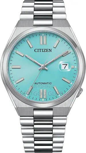 Citizen Chain Watch Automatic