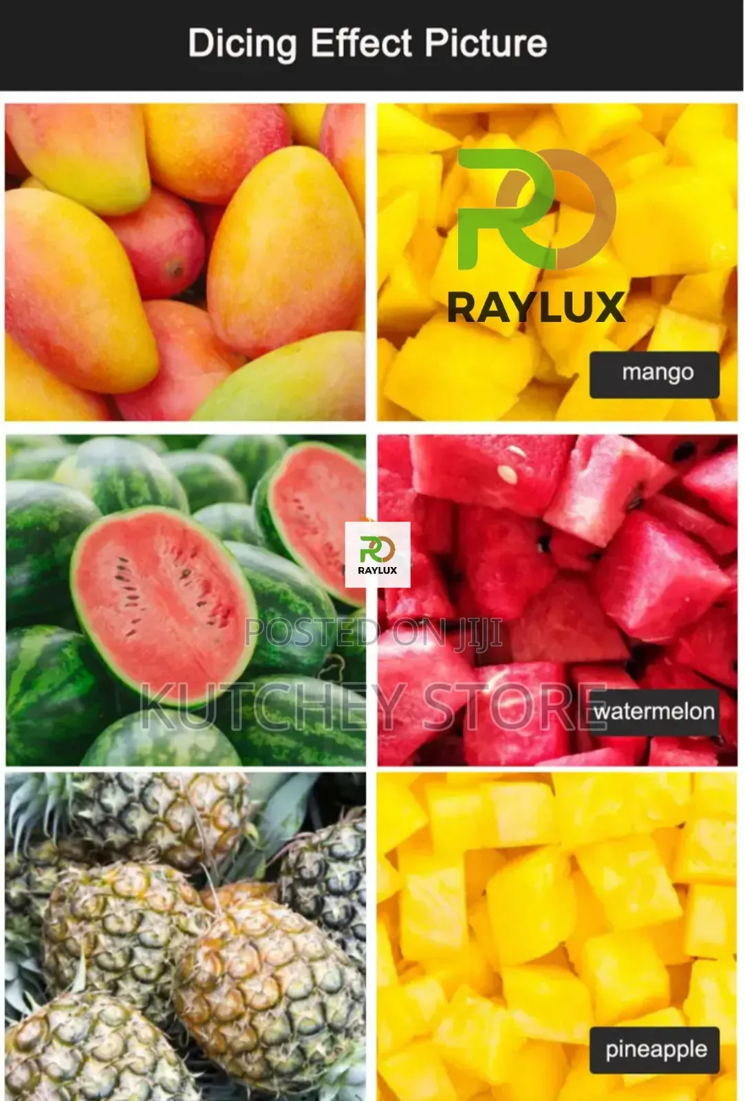 Raylux 5l Commercial Food Processor, Yam-pounder Dough-maker