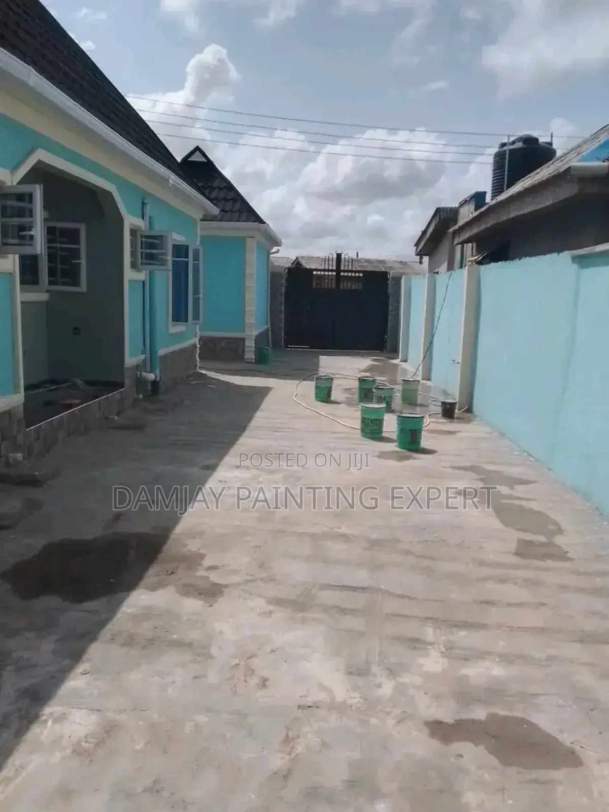 Professional House Painter Screeder Etc