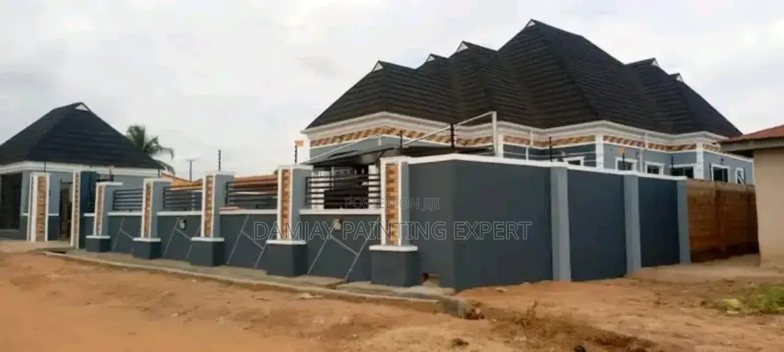 Professional House Painter Screeder Etc
