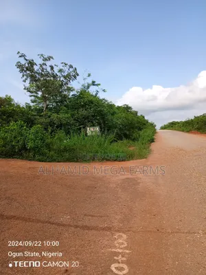100 Acres of Farmland for Sale