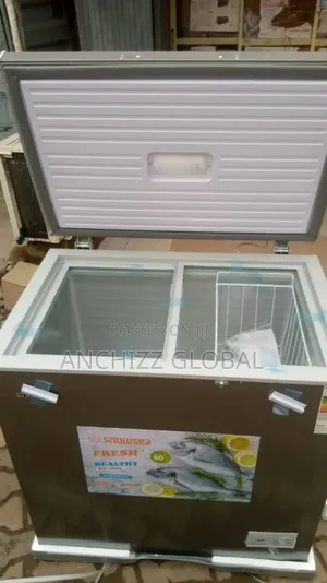 600liters Snowsea Chest Freezer