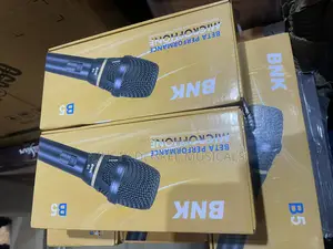 BNK B5 Microphone