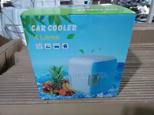 Vehicle Portable Mini Cooler and Warmer 4L Refrigerator