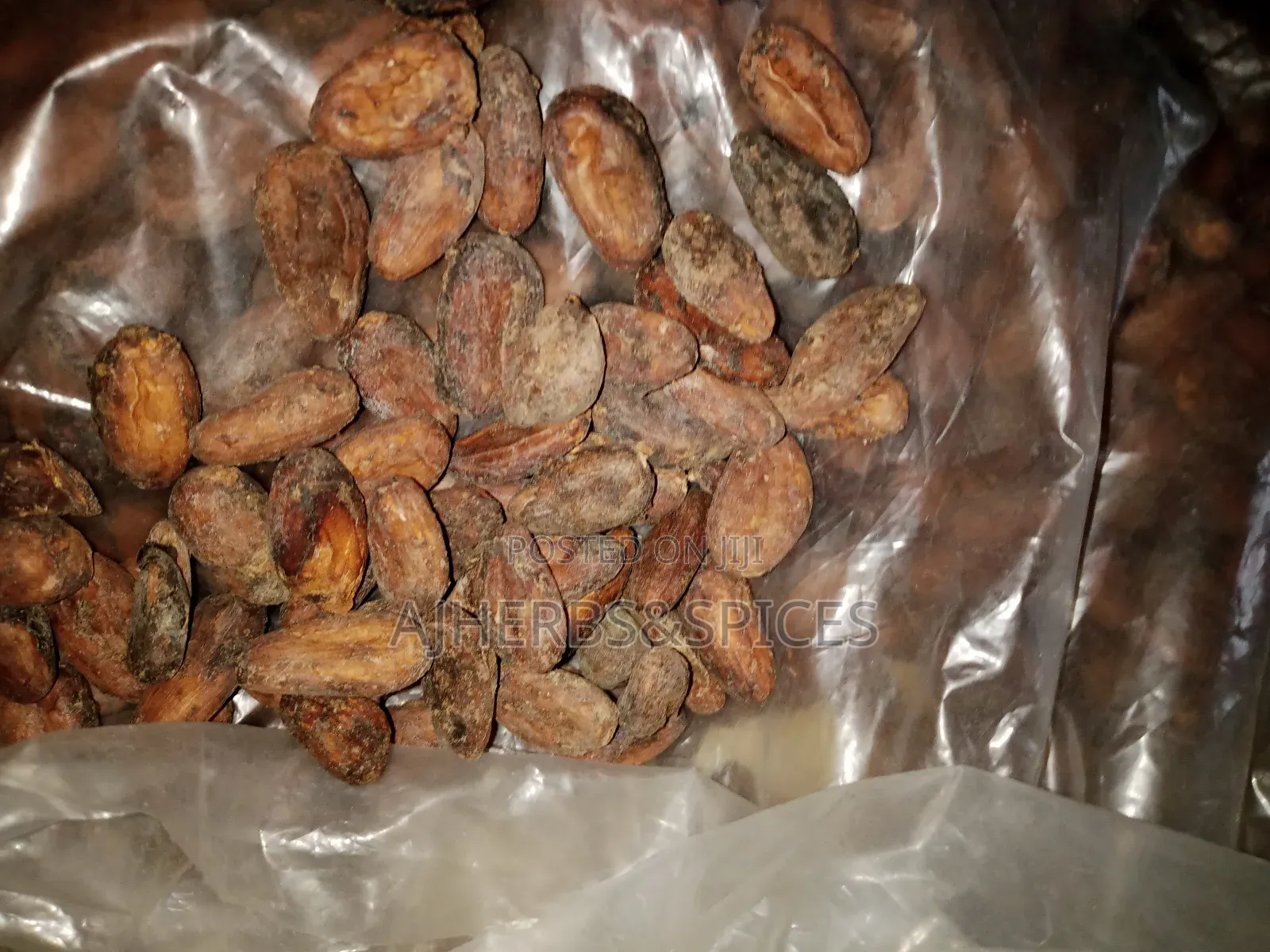 Pure Coco Bean/Coco Powder