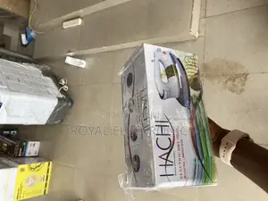 Hachi Electric Dry Iron With Gray Teflon Coating