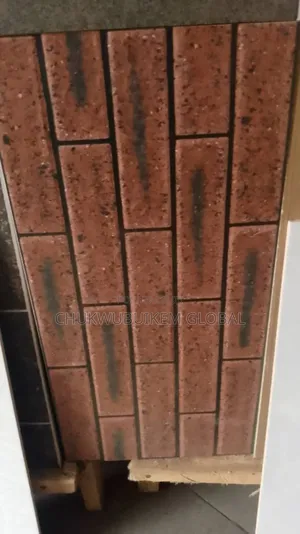 Standard Quality Outside Wall Tiles 30*60