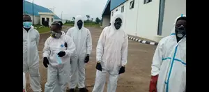 Fumigation