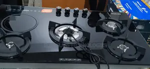 Highest Demand Polystar ''Pv-Ny4g1e'' 4+1 Burner