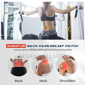 Sumifun Back Pain Relieving Patch With Menthol and Camphor