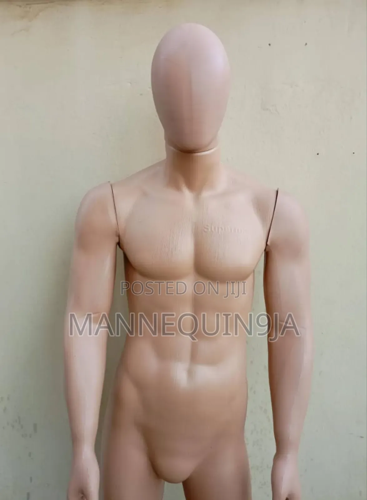 Male Macho Mannequin
