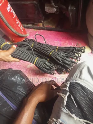 Security Lanyard