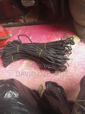Security Lanyard