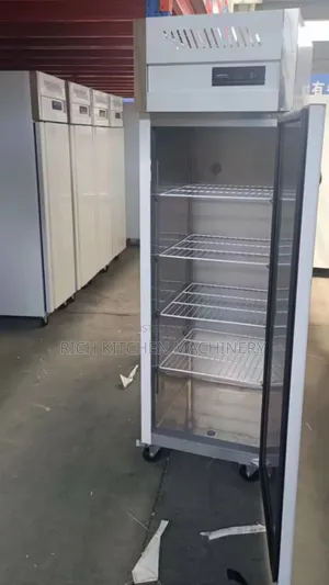 Industrial Standing Freezer