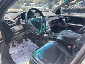 Acura MDX 2009 Gray