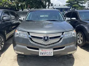 Acura MDX 2009 Gray