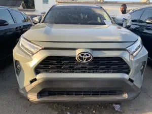 Toyota RAV4 XLE AWD 2019 Gray