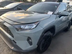 Toyota RAV4 XLE AWD 2019 Gray