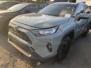 Toyota RAV4 XLE AWD 2019 Gray