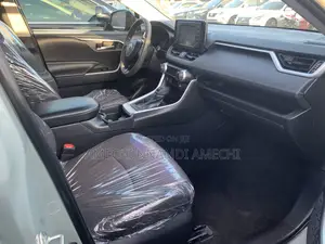 Toyota RAV4 XLE AWD 2019 Gray