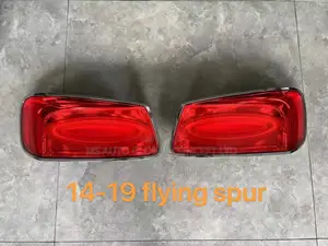 Bentley Flying Spur 2014/2019 Back Light