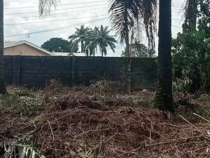Photo - One Standard Registered Plot of Land at Avu Ph Rd