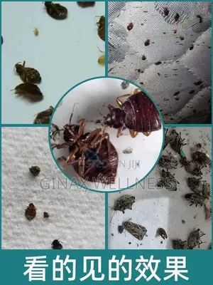 Bed Bugs Killing Powder