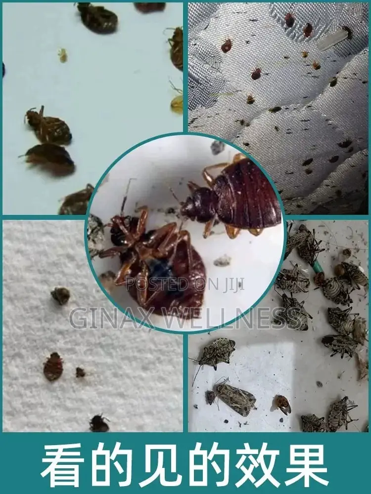 Bed Bugs Killing Powder
