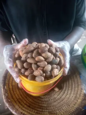 Fresh Healthy Bitter Kola