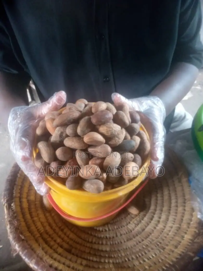 Fresh Healthy Bitter Kola