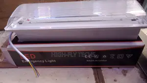 LED Emergency Light