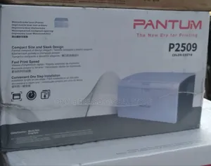Pantum P2509w Wireless Mono Laser Single Function Printer