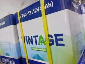 Vintage 40ah 12V Deep Cycle Battery