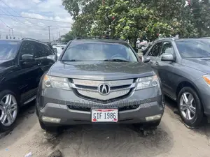 Acura MDX 2009 Gray