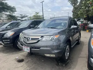 Acura MDX 2009 Gray