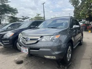 Acura MDX 2009 Gray