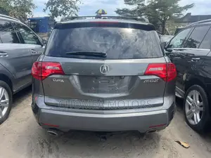 Acura MDX 2009 Gray