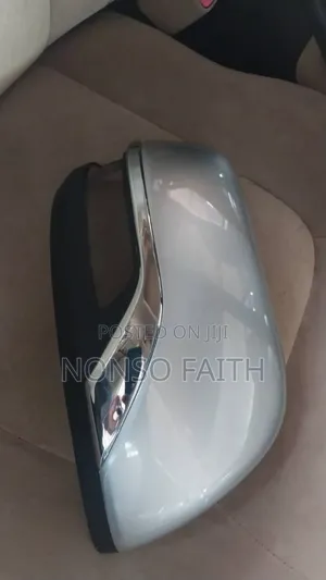 Side Mirror Cover