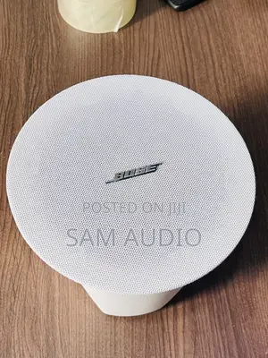 Photo - Bose Ceiling Speaker