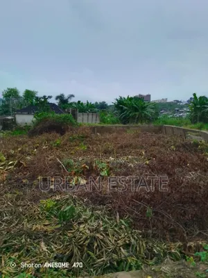 Distress Sale of 500sqm Land in Omole Ph1 Ikeja