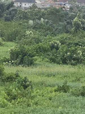 Mixed Use Land at Okokomaiko Lagos