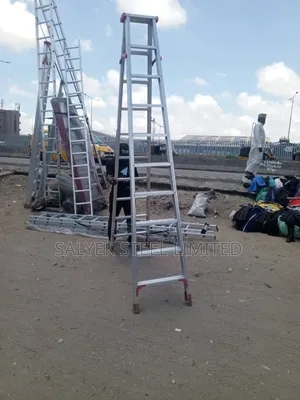 Dog Side Double Aluminum Ladder