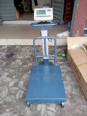 Electrical Scale A12 300kg Heavy Duty