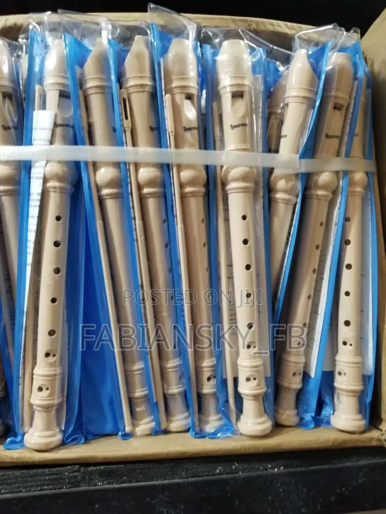 Kids Flute/Recorder